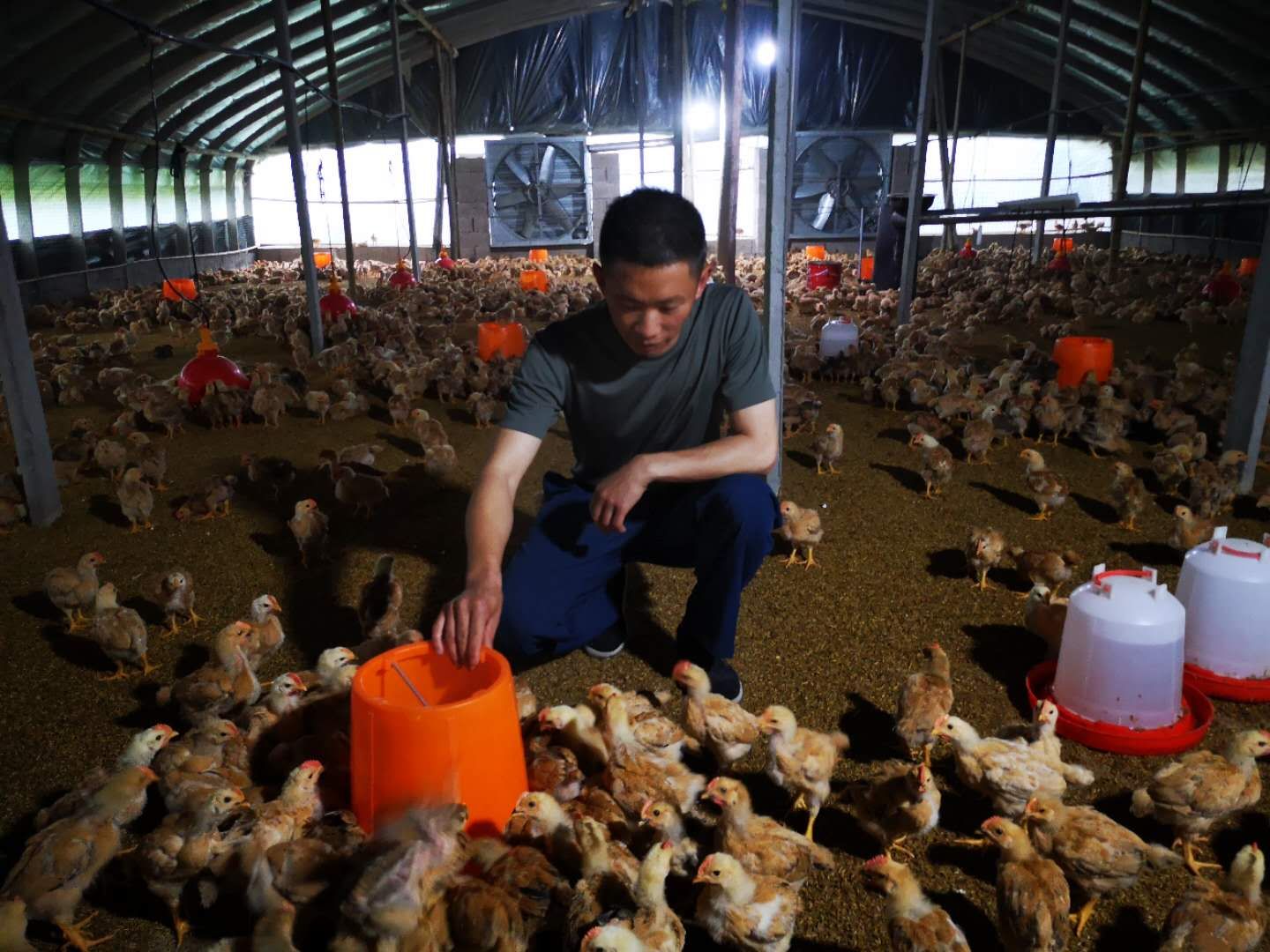 安徽霍山：退役老兵的創(chuàng  )業(yè)夢(mèng)-云南能投軍創(chuàng  )產(chǎn)業(yè)投資有限公司