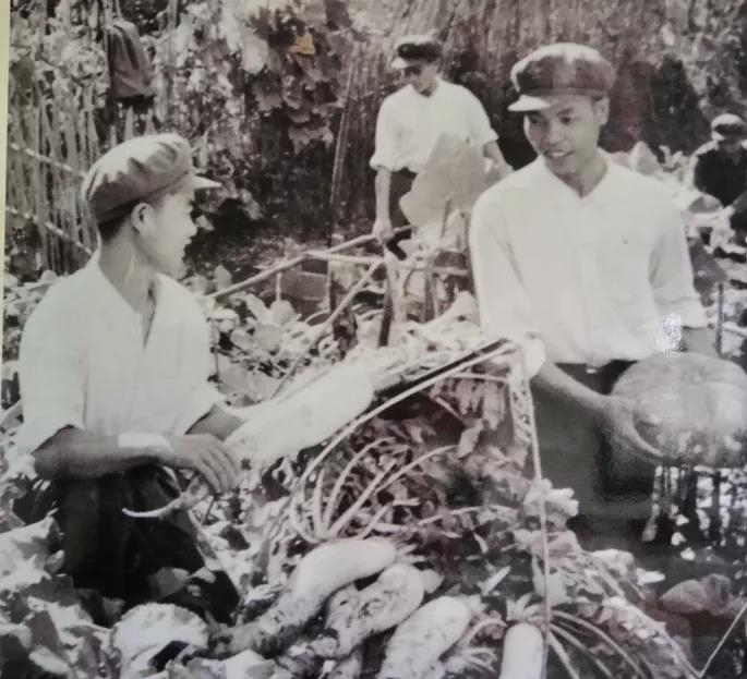 50年后，應到13人，實(shí)到13人！-云南能投軍創(chuàng  )產(chǎn)業(yè)投資有限公司