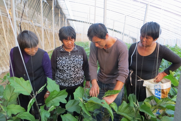 02.jpg 泗縣:退伍軍人勇當創(chuàng )業(yè)致富“領(lǐng)頭雁”-云南能投軍創(chuàng )產(chǎn)業(yè)投資有限公司
