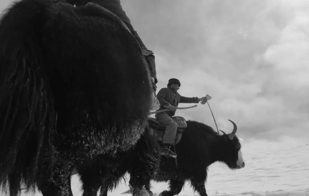 痛心！送別“帕米爾雄鷹”-云南能投軍創(chuàng  )產(chǎn)業(yè)投資有限公司