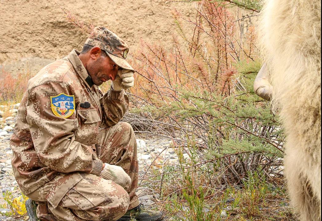 紀念我的戰友，拉齊尼·巴依卡-云南能投軍創(chuàng  )產(chǎn)業(yè)投資有限公司