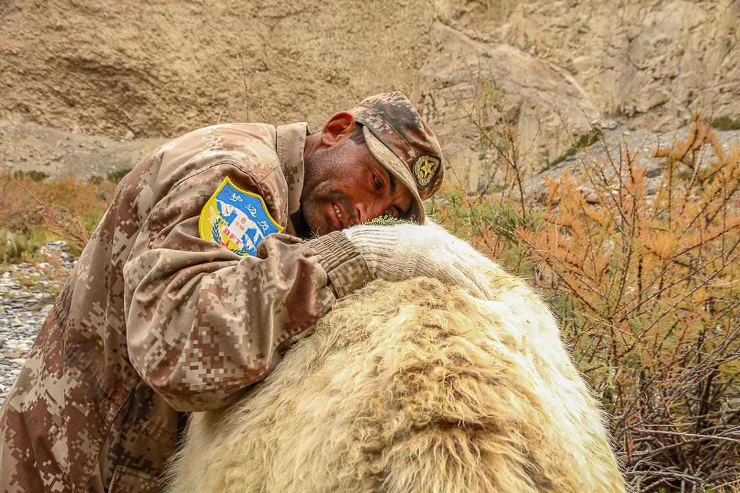 紀念我的戰友，拉齊尼·巴依卡-云南能投軍創(chuàng  )產(chǎn)業(yè)投資有限公司