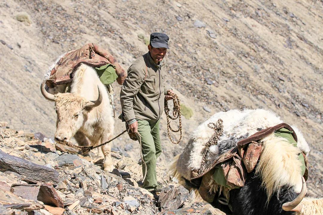 紀念我的戰友，拉齊尼·巴依卡-云南能投軍創(chuàng  )產(chǎn)業(yè)投資有限公司