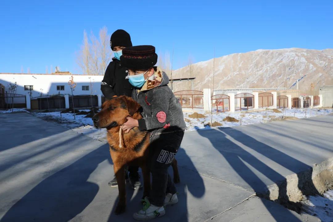 紀念我的戰友，拉齊尼·巴依卡-云南能投軍創(chuàng  )產(chǎn)業(yè)投資有限公司