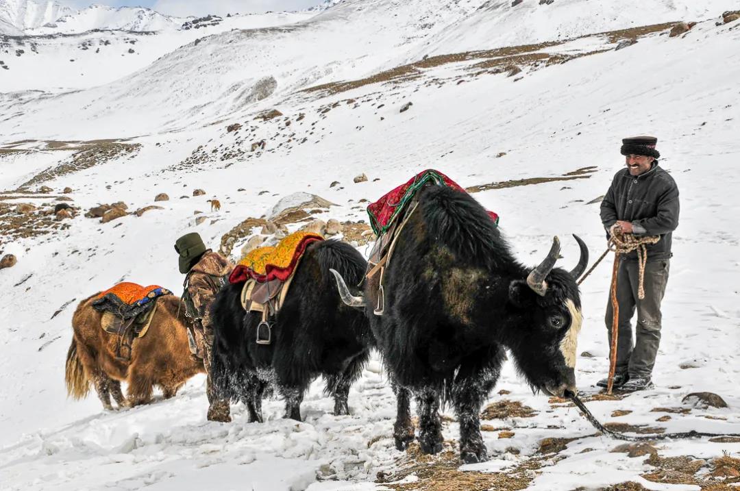紀念我的戰友，拉齊尼·巴依卡-云南能投軍創(chuàng  )產(chǎn)業(yè)投資有限公司