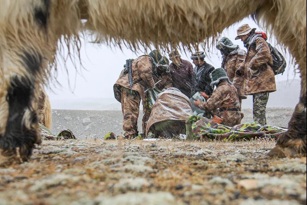 紀念我的戰友，拉齊尼·巴依卡-云南能投軍創(chuàng  )產(chǎn)業(yè)投資有限公司