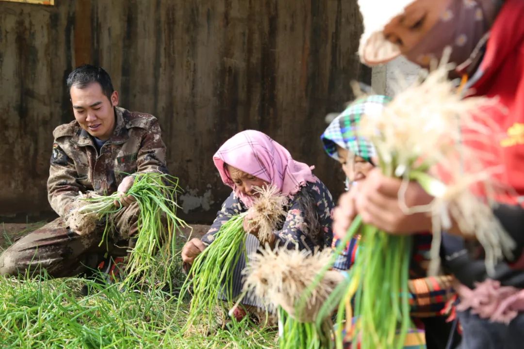 從軍人到公務(wù)員，當“康師傅”開(kāi)始種菜……-云南能投軍創(chuàng  )產(chǎn)業(yè)投資有限公司