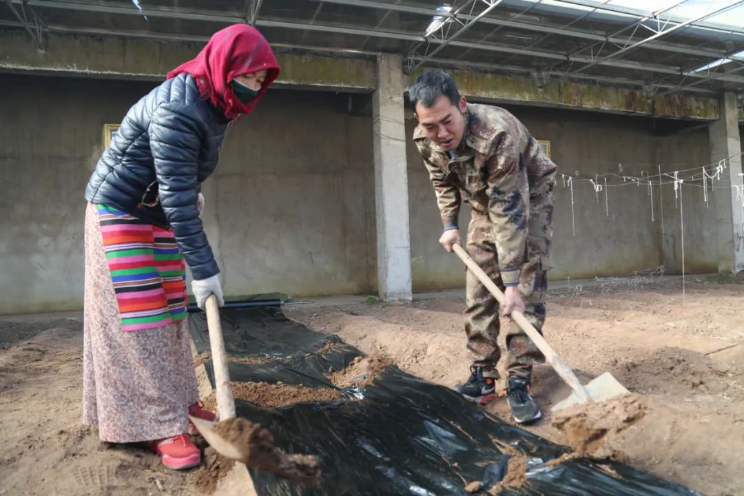 從軍人到公務(wù)員，當“康師傅”開(kāi)始種菜……-云南能投軍創(chuàng  )產(chǎn)業(yè)投資有限公司