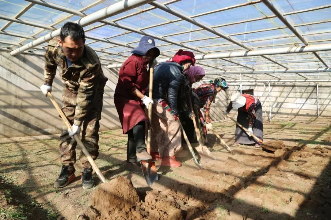 從軍人到公務(wù)員，當“康師傅”開(kāi)始種菜……-云南能投軍創(chuàng  )產(chǎn)業(yè)投資有限公司