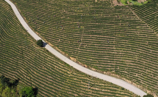 貴州劍河：上陣“父子兵” 逐夢(mèng)前行不停歇-云南能投軍創(chuàng  )產(chǎn)業(yè)投資有限公司