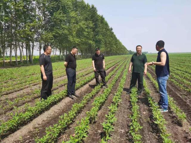 1.jpeg 老兵再立新功:在希望的田野上耕耘豐收-云南能投軍創(chuàng )產(chǎn)業(yè)投資有限公司