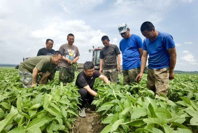 3.jpeg 老兵再立新功:在希望的田野上耕耘豐收-云南能投軍創(chuàng )產(chǎn)業(yè)投資有限公司