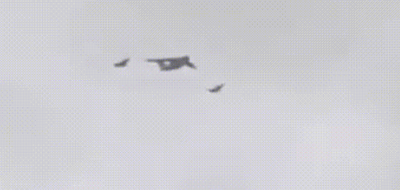 新華社：老師，那是什么？-云南能投軍創(chuàng  )產(chǎn)業(yè)投資有限公司