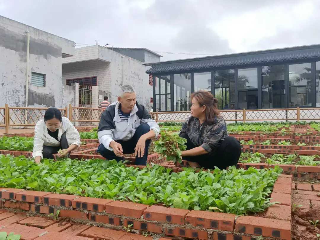 2024，致敬那些溫暖了歲月的老兵-云南能投軍創(chuàng  )產(chǎn)業(yè)投資有限公司