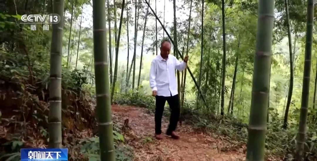 央視：一座無(wú)名墓 這一家三代人卻守護了近百年-云南能投軍創(chuàng  )產(chǎn)業(yè)投資有限公司