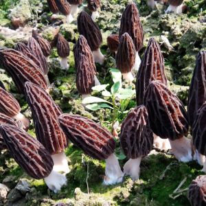 保山市-云南能投軍創(chuàng  )產(chǎn)業(yè)投資有限公司