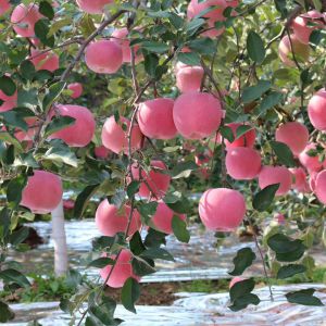 保山市-云南能投軍創(chuàng  )產(chǎn)業(yè)投資有限公司