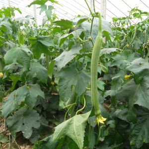 保山市-云南能投軍創(chuàng  )產(chǎn)業(yè)投資有限公司